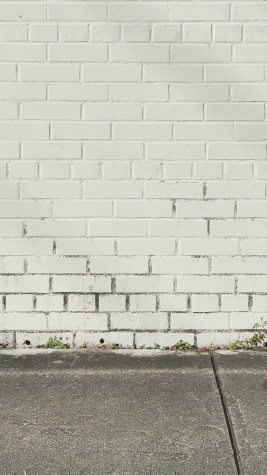 Compass Beaded Leather Tote Bag